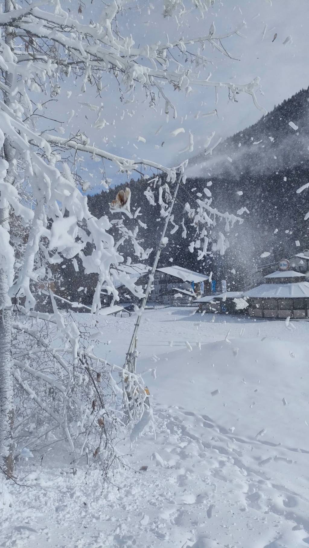 Ebbene sì, la Dea della neve è arrivata sulle Dolomiti