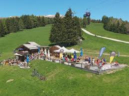 Working for Summer&nbsp;2025